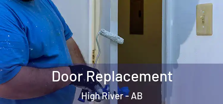 Door Replacement High River - AB
